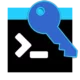 Иконка ключ Windows в командной строке