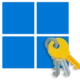Windows 11 activation icon
