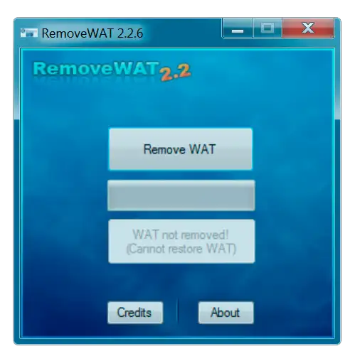 Пользовательский интерфейс RemoveWAT
